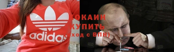 прущий лед Алзамай